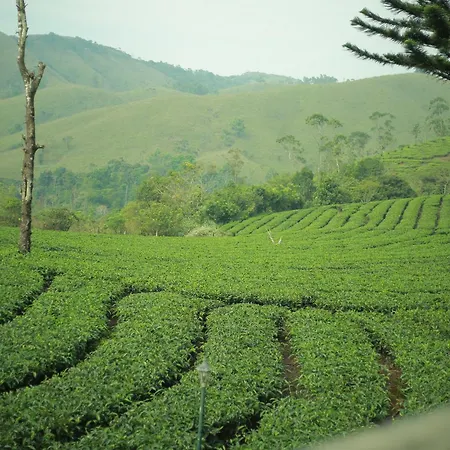 Pine Trees Home Holidays Vagamon Exterior photo