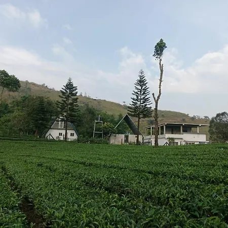 Pine Trees Home Holidays Vagamon Exterior photo