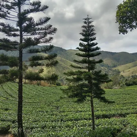 Pine Trees Home Holidays Vagamon Exterior photo